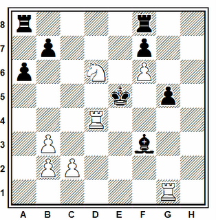 Posición de la partida de ajedrez Trapl - Haussner (Checoslovaquia, 1980)