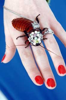 Bug Ring