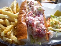 lobster roll from yankee pier