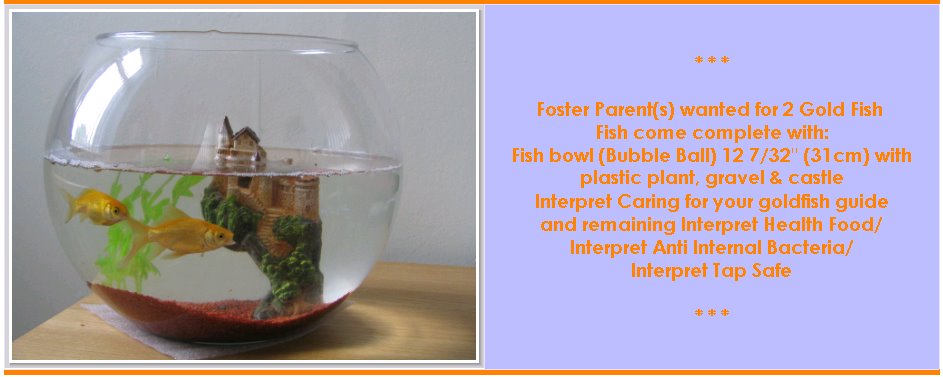 fish symptoms nobody saves the world