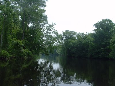 Broad Creek branches off the might Tar River