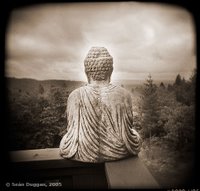 Buddha with a view
