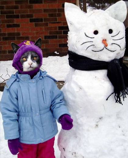snow-cat