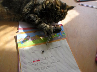 bailey writes her calendar entries