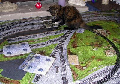 Heidi with the train set we bought for the coach