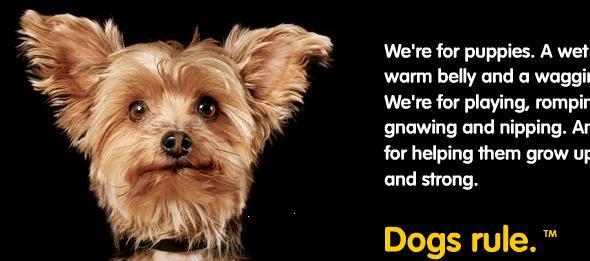 Land Of Crockettoa Pedigree Dog Food Commercials Pedigree Dog Food Commercials