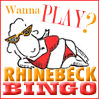 Rhinebeck Blogger Bingo