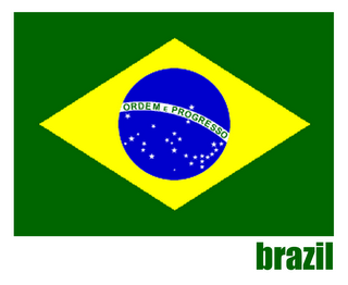Picture Brazil Flag Brazilian Flag Brasil Flag