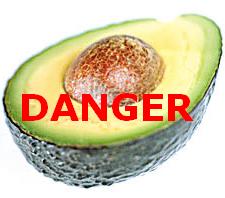 The Dangers of Avocados