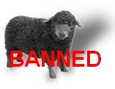 Nanny Bans Black Sheep