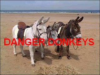 Nanny's Donkey Inspectors