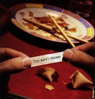 The Wisdom of Fortune Cookies
