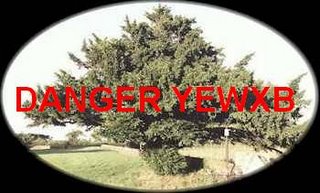 Nanny Bans Yews