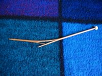 Broken bamboo needle