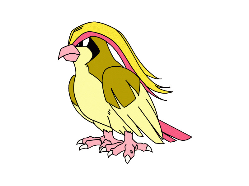 pidgey huntr pidgey huntr