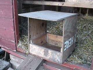 Keeping chickens at home in the garden. Building a nest box.