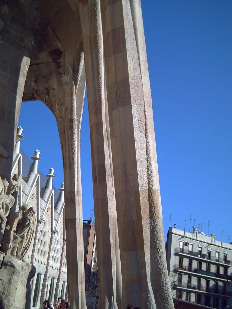Sagrada Familia: The Jungle Columns