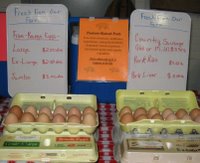 Eggs on display at Back Woods Family Farm booth