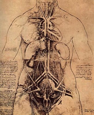 Leonardo da Vinci [1452-1519] | desenho | estudo anatómico do tronco feminino | s.d.