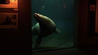 Still from Pawel Wojtasik's The Aquarium