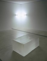 Dan Flavin and Roni Horn, installation view