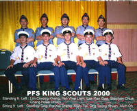 King Scouts