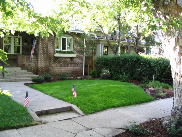 blog away: Front Yard is done!