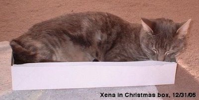 Xena in box
