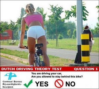 Fotos engraçadas - Exame carros 