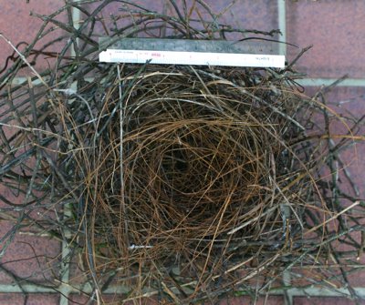 House Crows’ nests