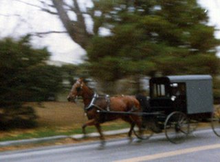 Amish Horse and carriage Pennsylvania near Baltimore