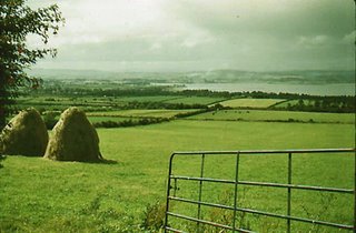 A Field in Ireland