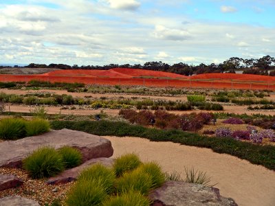 Eucalptus gardens on each side of the path with a dry stony creek bed between us and the red centre 