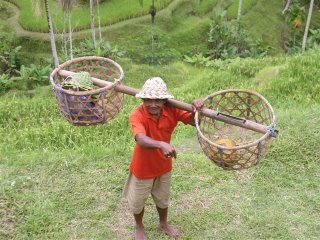 Agricultura (arroz) e turismo s�o as bases econ�micas de Bali