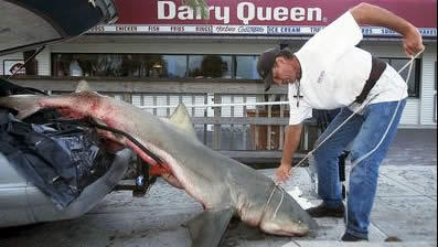 Fort Myers Beach Fishing Pier The Best Beaches In World Fort Myers Beach Fishing Pier The Best Beaches In World