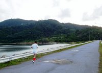 Jogger on the dam