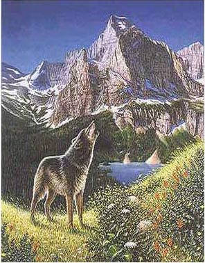 Hidden Wolves Illusion