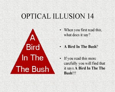 A Bird In The Bush Confusing Illusion