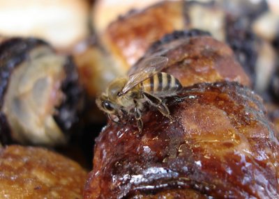 Bee on rugelach