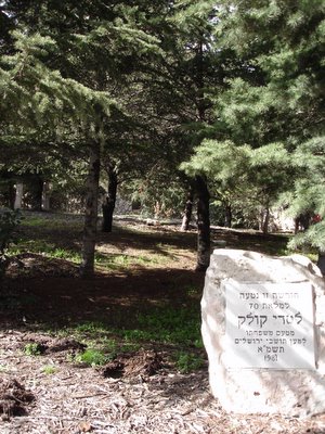 Pine grove planted in 1981 honor of Mayor Teddy Kollek’s seventieth birthday