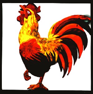 gallito