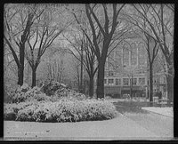 Christmas Snow Town Square, Library of Congress Prints and Photographs Division, REPRODUCTION NUMBER: LC-D4-70207