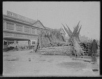 Christmas tree market, Library of Congress, Prints and Photographs Division [reproduction number, LC-D4-9148].
