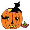 Halloween Black Cat in a Pumpkin