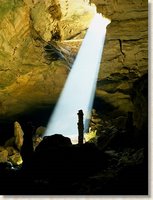 Recharging the ecosystem.  Sunlight shines into this cave entrance allowing abundant localized growth, which in turn provides food sources for life deeper within the cave. The National Park Service Cave and Karst Program