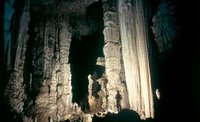Centuries of calcite deposition may cause stalactites and stalagmites to grow together, forming huge columns. (Ogle Cave, New Mexico JIM GOODBAR, BLM