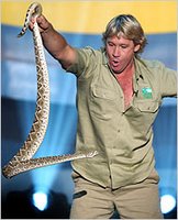 Steve Irwin, the crocodile hunter killed by Sting-Ray!