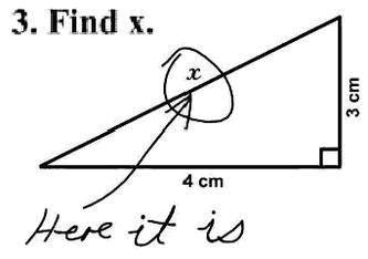 Here's a blonde's answer on geometry test