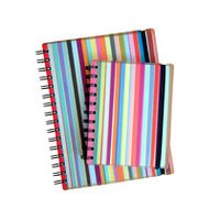 pretty striped notebooks