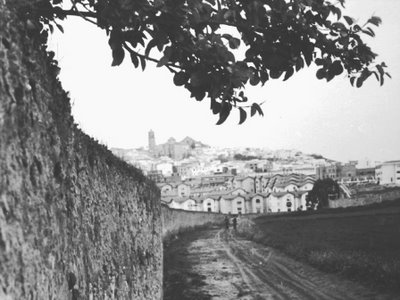 Panoramica de Montilla,vista desde la tapia de El Cigarral. Foto.J.Portero 